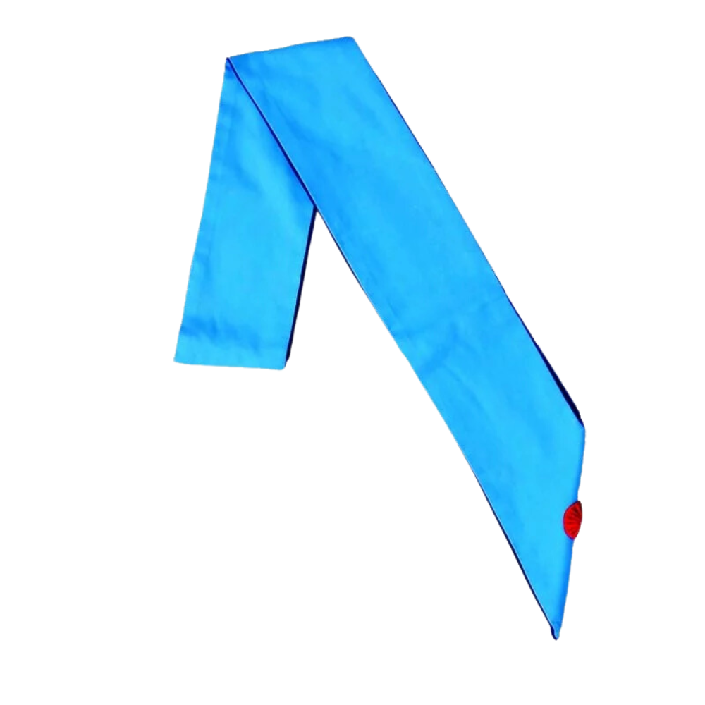 Baudrier Maître Rite Français Moderne — 1 Rosette