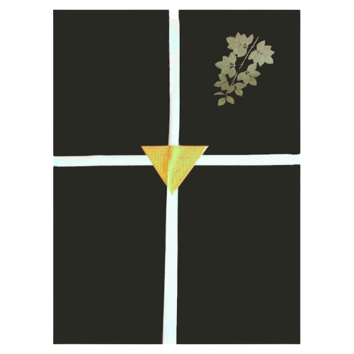 Drap mortuaire maçonnique - Rite Français