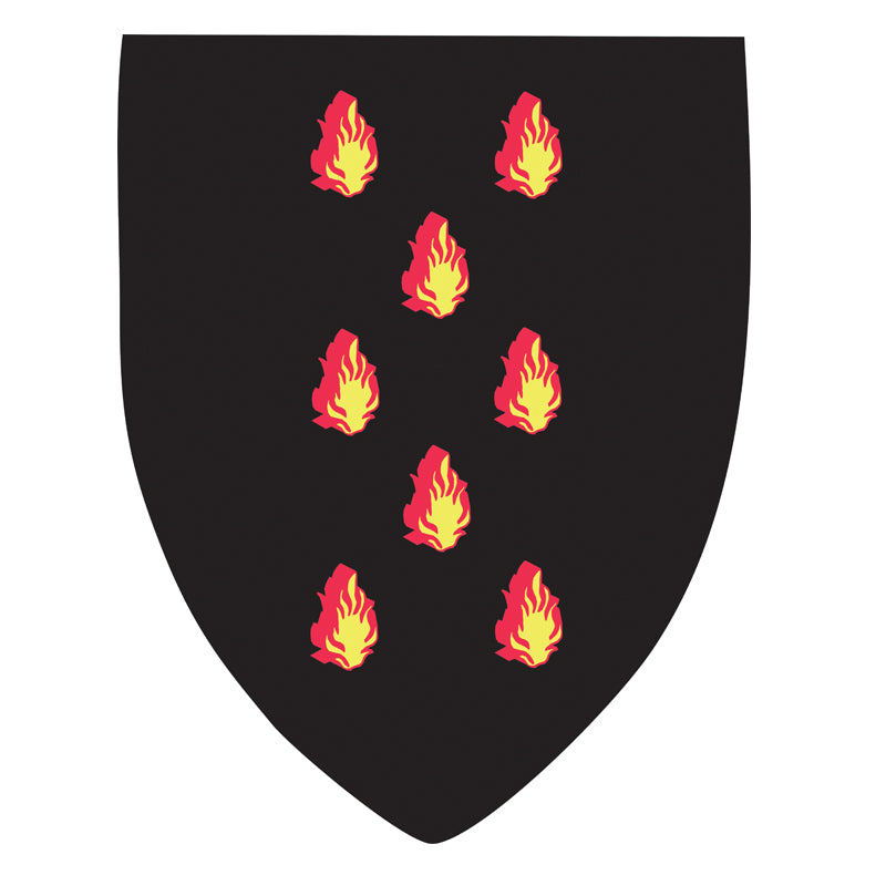 Blason Flammes 9ème degré REAA