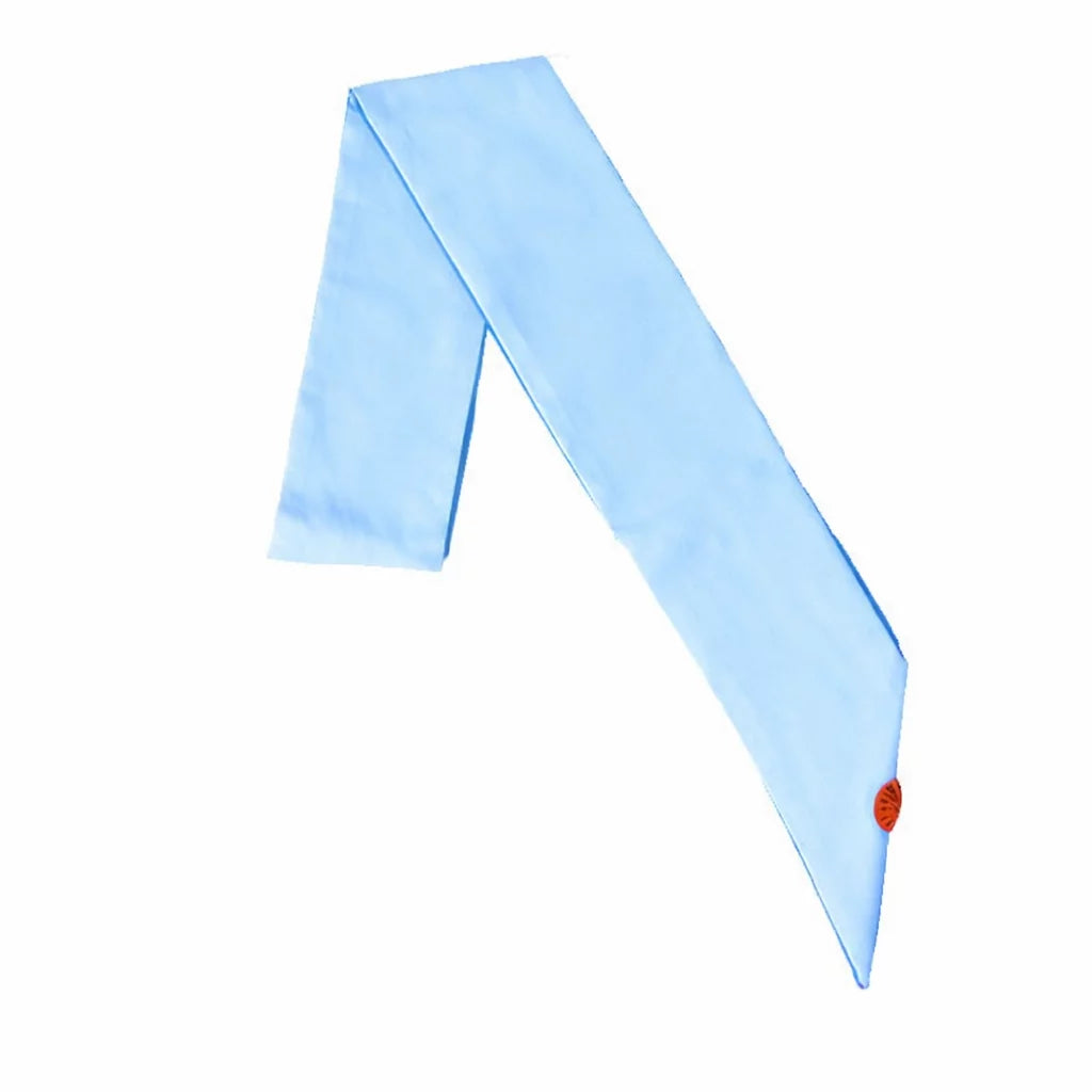 Baudrier Maître Rite Français Moderne Rétabli — 1 Rosette