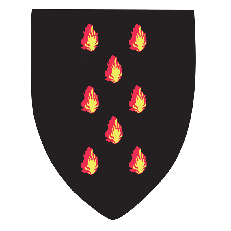 Blason Flammes 9° degré - REAA