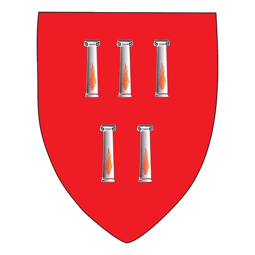 [BLASON14REAA] Blason 5 colonnes 14° degré - REAA